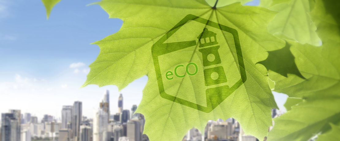 eCo isophorone products